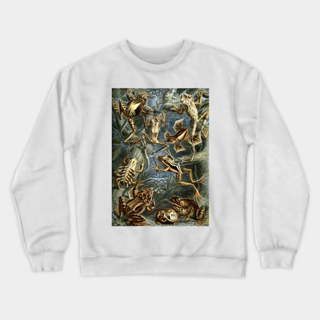 Batrachia by Ernst Haeckel Crewneck Sweatshirt by MasterpieceCafe